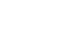 Professional Manufacturing Experience
